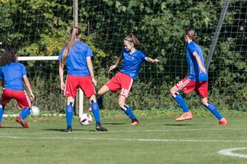 Bild 41 - wBJ HSV - SV Meppen : Ergebnis: 0:2